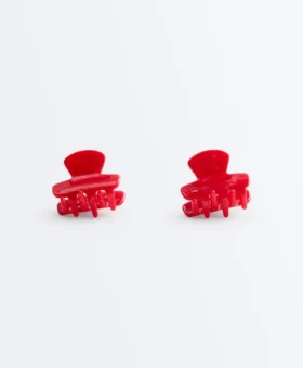 2 Mini Hair Clips