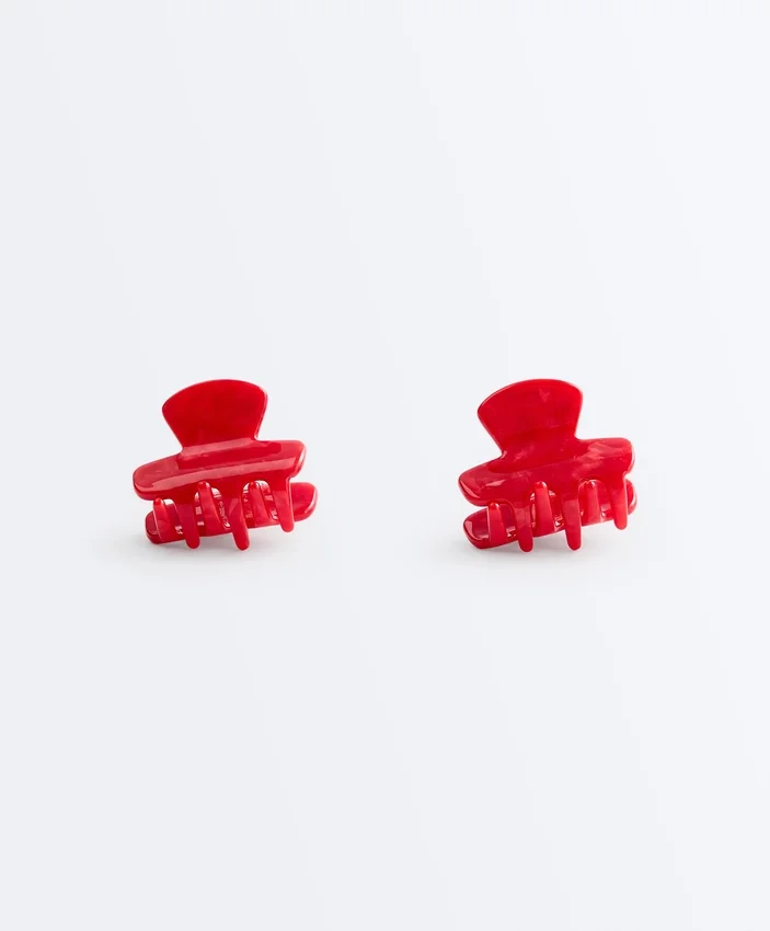2 Mini Hair Clips 2 Mini Hair Clips
