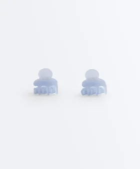 2 Mini Hair Clips