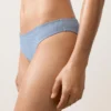 Striped Classic Bikini Briefs